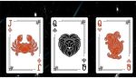 SOLOMAGIA Zodiac Playing Cards - Imagen 4