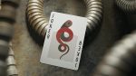 Murphy's Magic Supplies, Inc. Dune Playing Cards by theory11 - Imagen 6