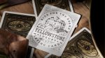 Murphy's Magic Supplies, Inc. theory11 Yellowstone Card Game - Imagen 3