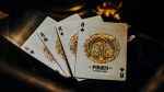 Murphy's Magic Supplies, Inc. theory11 Piracy Playing Cards, Great Gift for Card Collectors - Imagen 3