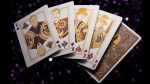 Murphy's Magic Supplies, Inc. Theory Wonka Playing Cards11 - Imagen 3