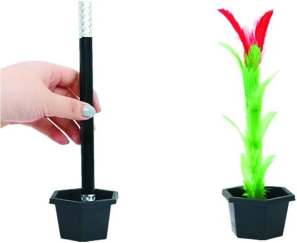 Appearance flower with explaining video easier to understand Collectible Magic Tricks