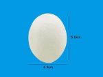 6Pcs Sponge Soft Eggs Magic Tricks Stage First Music Appear Disappear Magic Illusion Gimmick Props Mentalism - Imagen 3