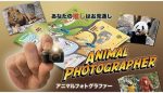 SOLOMAGIA Animal Photographer - Imagen 4