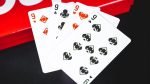 Murphy's Magic Supplies, Inc. Hypebeast Playing Riffle Shuffle Cards - Imagen 3