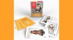 Murphy's Magic Supplies, Inc. Armor Playing Cards- The Met x Lingo - Imagen 5