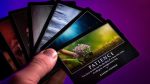 Murphy's Magic Supplies, Inc. Evoca (trucos e instrucciones en línea) por Craig Petty - Truco - Imagen 3