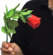 Pink obedient with explaining video for your easy understanding Collectible Magic Tricks