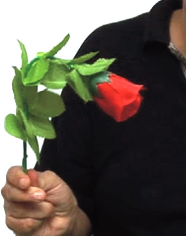 Pink obedient with explaining video for your easy understanding Collectible Magic Tricks