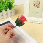 Torch to Pink, Magic Flower with Flame to Rose Look, Fire Magic Trick, Flame Looks Like Flower, Professional Wizard Accessories, Easy Magic Tricks, Mentalist Magic for - Imagen 4