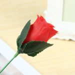 Torch to Pink, Magic Flower with Flame to Rose Look, Fire Magic Trick, Flame Looks Like Flower, Professional Wizard Accessories, Easy Magic Tricks, Mentalist Magic for - Imagen 5