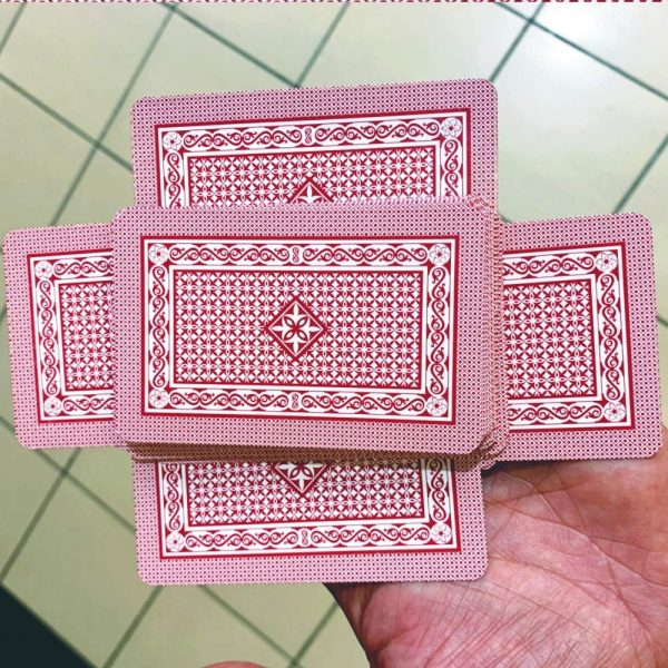 Magnetic deck with explaining video for your easy understanding Collectible Magic Tricks