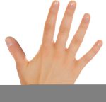 Magic Trick with Fake Thumb - Disappearing Silk Fake Finger Realistic Toy for Magicians Pranks Carnival Family Parties Shows Birthday Entertainment - Imagen 9