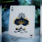 SOLOMAGIA Wave V2 (Coral) by Jocu Playing Cards - Imagen 3