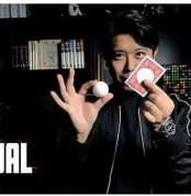Ball on Card (Red) by Bond Lee & MS Magic