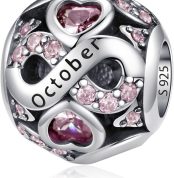 LNQOBU 925 Silver Charm Beads for Bracelets, Compatible European Women's Silver Bracelets for Women and Girls