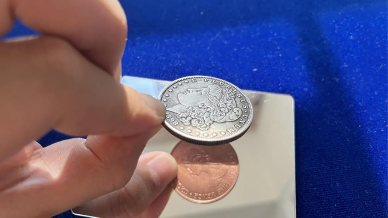 Murphy's Magic Supplies, Inc. Morgan Copper Double Sided Coin by N2G - Trick