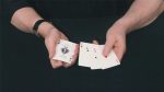 Murphy's Magic Supplies, Inc. Crazy cards (tricks and instructions online) by Dominique Duvivier - Truco - Imagen 2
