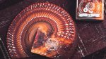 Murphy's Magic Supplies, Inc. Solokid Constellation Series V2 (Leo) Card Game by Solokid Playing Card Co. - Imagen 2