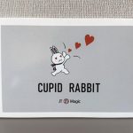 SOLOMAGIA Cupid Rabbit by JT