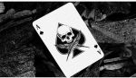 SOLOMAGIA Feather & Bone: The Chrome Hearts (Foil) Playing Cards by Joel Meyers - Imagen 2