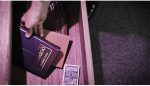SOLOMAGIA Quidnunc Plus! by Paul Gordon - DVD and Didactics - Trucos Magia y la Magia - Imagen 2