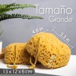 myHomeBody Bath Sponge, Sponge Sponge, Body Sponge for Shower - Large Size, Lots of Foam, Curvy, Pack of 3 - Imagen 2