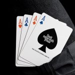 SOLOMAGIA Don't Mess with TEXAS Playing Cards by Fultons - Imagen 4