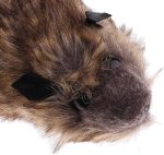 Raccoon Toy Magic Trick for Party Magic Fun Illusion - Imagen 6