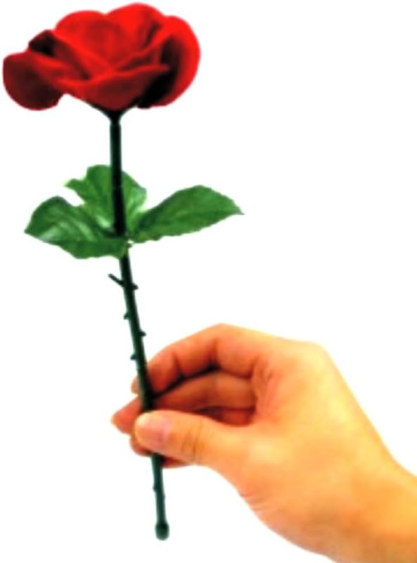 Appearance of a Rose with explaining video for your easy understanding Collectible Magic Tricks