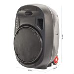 Ibiza - PORT12UHF-MKII-TWS - Portable speaker 12"/700W MAX with 2 microphones (UHF), Remote Control and Protective Case - Bluetooth, USB, SD and TWS - 5 to 7h autonomy - Imagen 6