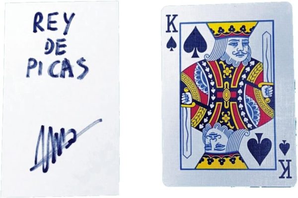 Fortune telling signed with explaining video for your easy understanding Collectible Magic Tricks