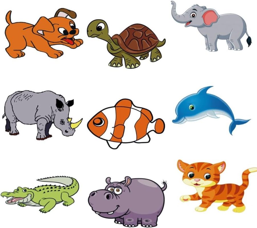 The zoo with explaining video for your easy understanding Collectible Magic Tricks