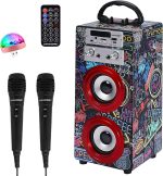 DYNASONIC Portable Karaoke Machine, Karaoke Speaker with 2 Microphones, Bluetooth Speaker, USB Light Included, USB and SD Reader, Exclusive Design, Original Gift (025-21 Light)