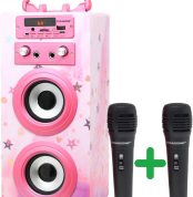 DYNASONIC Portable Karaoke Machine, 2 Microphones, Bluetooth Speaker, Lights, USB and SD Reader (025-15)