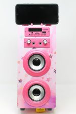 DYNASONIC Portable Karaoke Machine, 2 Microphones, Bluetooth Speaker, Lights, USB and SD Reader (025-15) - Imagen 4