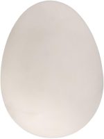 Realistic Eggs Toy Toy Unbreakable Fake Eggs for Magic Tricks and Fun Gags - Imagen 5