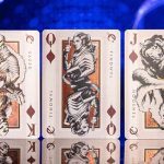 SOLOMAGIA Mistborn Playing Cards by Kings Wild Project - Imagen 4
