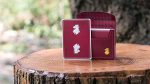 SOLOMAGIA Leon Playing Cards - Magic and Magic Cheats - Imagen 3