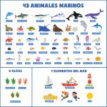 BONNYCO Felt Chalkboard with 107 Sea Animal Figures, Toys Children Montessori, Gifts for Children 3 to 8 Years. Sensory Panel Autism, Children's Educational Games Christmas - Imagen 8