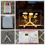 DIY LED Acrylic Drawing Board Kit for Kids, Lighted Writing Pad and Art with 7 Colored Pens and Stand, Creative Educational Light for Family Activities (30x20 - Imagen 6