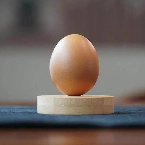 Real Egg (White / Brown) Real Magic Tricks Made of Silk to Egg Routine Magic Props Close-up Street Illusions Tricks Props (Brown)