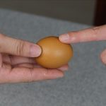 Real Egg (White / Brown) Real Magic Tricks Made of Silk to Egg Routine Magic Props Close-up Street Illusions Tricks Props (Brown) - Imagen 5
