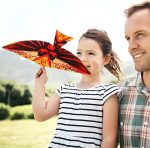 Bird Powered By Rubber Band: Diisios Glider Toys, Flying Bird Outdoor Toys | Handmade Airplane Bird Models With Elastic Release, Magic Tricks - Imagen 4