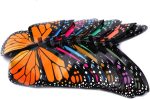 Enjoyer Magic Appearing Butterflies Magic Tricks Butterfly Freedom Silk Empty Close-up Scenario Magic Props - Imagen 6