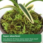 CONNECTION Dried Natural Moss 200g Moss Sphagnum Moss for Plants Sphagnum Moss Substrate Orchids Sphagno Live Moss for Terrariums, Orchids, Plant Support, Bonsai, Reptiles, Decoration - Imagen 5