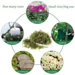 CONNECTION Dried Natural Moss 200g Moss Sphagnum Moss for Plants Sphagnum Moss Substrate Orchids Sphagno Live Moss for Terrariums, Orchids, Plant Support, Bonsai, Reptiles, Decoration - Imagen 7