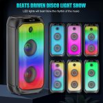 Bluetooth Speakers with 2 Wireless Microphones, Portable Karaoke Machine, PA System with LED Lights, Bluetooth Karaoke Speaker Compatible with TF/USB Cards, AUX Input, TWS