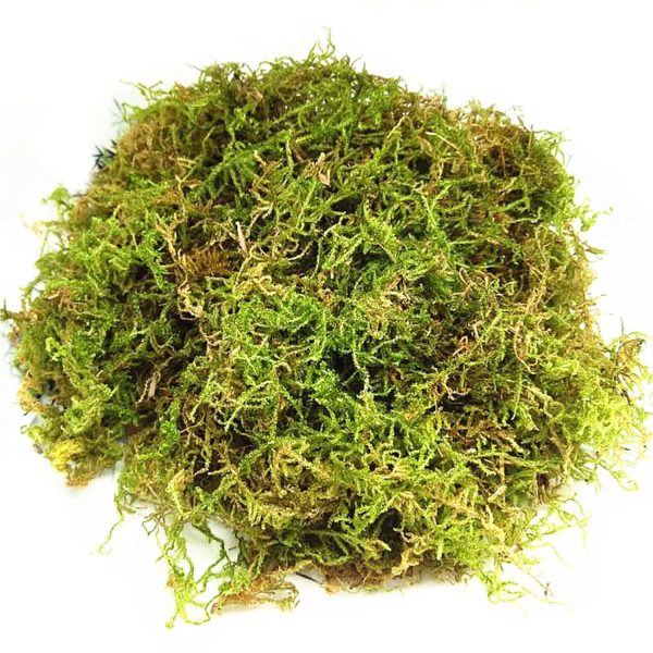 CONNECTION Dried Natural Moss 200g Moss Sphagnum Moss for Plants Sphagnum Moss Substrate Orchids Sphagno Live Moss for Terrariums, Orchids, Plant Support, Bonsai, Reptiles, Decoration