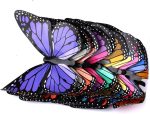 Enjoyer Magic Appearing Butterflies Magic Tricks Butterfly Freedom Silk Empty Close-up Scenario Magic Props - Imagen 2
